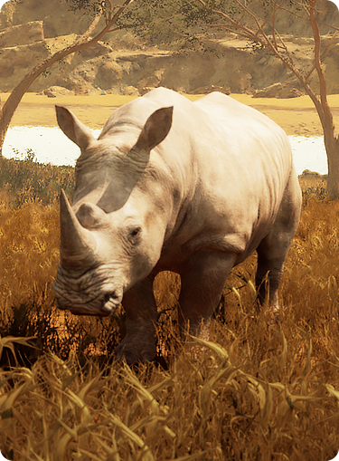 ANIMALS_rhino